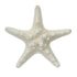 thorny starfish